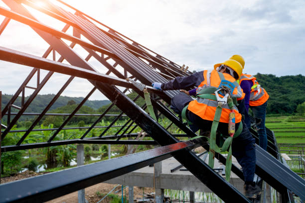 Best Storm Damage Roof Repair  in Wilkinsburg, PA